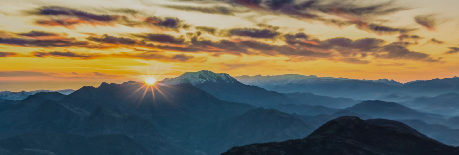 事業版圖 事業版圖